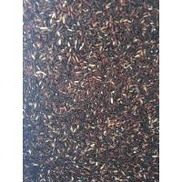 ราคา ข้าวสามสี 13 สายพันธ์ุ ข้าวไรซ์เบอร์รี่ ข้าวกล้องหอมมะลิ ข้าวหอมนิล ข้าวหอมมะลิ ออร์แกนิค ขนาด 1 กิโลกรัม (21096726632)