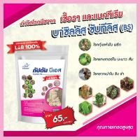 ราคา บาซิลลัส ซับทิลิส กัปตัน BS กำจัดเชื้อรา แบคทีเรีย 100กรัม (17033776006)