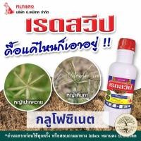 ราคา ยาฆ่าหญ้า กึ่งดูดซึม กึ่งเผาไหม้ กลูโฟซิเนต เรดสวีป 4 ลิตร (19261926904)