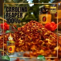 ราคา ผงพริกแคโรไลนา รีพเปอร์ พริกเผ็ดที่สุดในโลก Powder Flake20G Carolina Reaper 100 (16528199845)