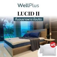 ราคา WellPlus ที่นอนยางพาราแท้ รุ่น Lucid II ยางพาราหนานุ่ม ที่นอน แถมฟรีหมอนหนุนสุขภาพ ส่งฟรี (16441810671)