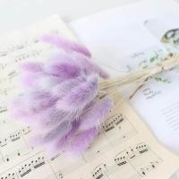 ราคา 30 ชิ้นดอกไม้แห้งธรรมชาติช่อหางกระต่ายหญ้าหางกระต่ายตกแต่งงานแต่งงานที่บ้าน D8W6 (3227722317)