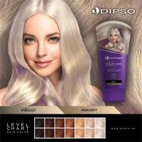 ราคา Dipso Super Shine Hair Color Wax ดิ๊พโซ่ ทรีทเม้นท์แว็กซ์ เปลี่ยนสีผม 150 มล มี 23 สี (8608226097)