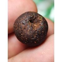 ราคา เม็ดยาจินดามณี หรือยาวาสนา หลวงปู่เพิ่ม วัดกลางบางแก้ว สร้างจากสูตรการรวบรวมว่านยาต่างๆตามตำรับ ขนาดเส้นผ่านศูนย์กลางประมาณ 1 1 ซ ม ตอกโค้ดตัวเฑาะว์ มีกลิ่นยาอ่อนๆ (20555024693)