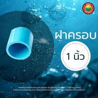 ราคา ฝาครอบพีวีซี ขนาด 3 4 1 2 1 1 5 นิ้ว PVC Cap ฝาครอบท่อ ฝาครอบ ตัวอุดท่อ ตัวปิดปลายท่อ ฝาสวมท่อพีวีซี ฝาปิดท่อ ฝาครอบPVC ฝาอุด ฝาสวม มิตสห mitsaha (12918299606)