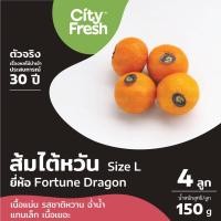 ราคา CityFresh HEALTH HAVEN กระเช้าผลไม้ (20962851319)