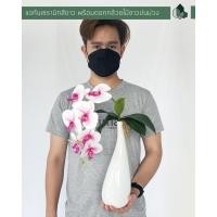 ราคา เซตแจกันเซรามิกสีขาว ดอกกล้วยไม้สีขาวปนม่วง (9324429195)