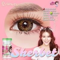 ราคา sherbet 3 brown บิ๊กอายส์ตัดขอบน้ำตาล (17361974525)