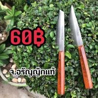 ราคา มีดสแตนเลสจิ๋ว ใบมีดยาว 4 นิ้ว มีดอรัญญิก จ อรัญญิกแท้ (4263244746)