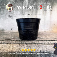 ราคา กระถางและจานรองพลาสติกสีดำ ขนาดเล็ก 2 5 นิ้ว 3 นิ้ว 4 นิ้ว 5 นิ้ว 6 นิ้ว ราคาส่ง เหมาะสำหรับเพาะต้นไม้ขนาดเล็ก ต้นกล้า หรือ กระบองเพชร แคคตัส (16324206409)