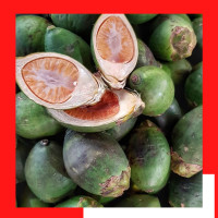 ราคา หมากสด หน้าอ่อน มีทั้หน้าขาวและหน้าแดง หมากสด ส่งตรงจากสวน ขายเป็นลูก (16390743184)