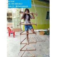 ราคา บันไดลิง บันไดเชือกปีนป่าย Climbingnet บันไดทรงสามเหลี่ยม ความยาว 3 เมตร ด้านบนมีตะขอ ใช้งานสะดวก (6594524983)