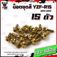 ราคา น็อตชุดสีR15 ปี2013 2016 1ชุด 15 ตัว น็อตชุดสีYZF R15 อาร์ 15 น็อตเฟรมR15 น๊อตR15 น็อตR15 น็อสแตนเลส R15 ปี2013 2016 (17455870724)