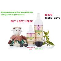 ราคา BUY 1 GET 1 แชมพูทีทรีออยล์ Shampoo Essential Tea Tree Oil 370 ml 1 ขวด ฟรี 200 ml 1 ขวด (12335988278)