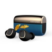 ราคา Astrotec S80 Ginkgo Edition หูฟัง TWS ประกันศูนย์ไทย (9635527034)