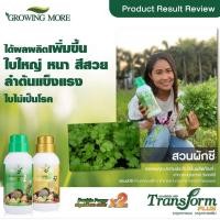 ราคา TRANSFORM PLUS 1 ธาตุอาหารรองและธาตุอาหารเสริมพืช ประกอบด้วยธาตุอาหารหลายชนิดที่มีประโยชน์ต่อพืช (17951104763)
