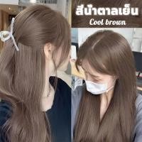 ราคา เหมาะกับหน้าสด ไอดอลย้อมผม สีย้อมผม ยาย้อมผม 100ml 2 สารสกัดพืช ปกปิดผมขาว สีผม ครีมย้อมผม กานิเย่ย้อมผม โฟมเปลี่ยนสีผม เบอริน่า dcash loreal liese ganier (20632558513)