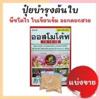 ราคา เมล็ดพันธุ์ รวม ชุด ดอกไม้ ผัก ผักสวนครัว สัตว์กินได้ ปลูกง่าย โตไว แคทนิป ตำแยเเมว หญ้าแมว หญ้าทิมโมธี ราคาประหยัด พร้อมส่ง ขายดี ถูก (9877508031)