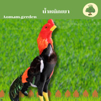 ราคา ไก่ชน เรซิ่น ไก่แก้บน รูปปั้นไก่ ไก่จิกทรัพย์ ตกแต่งสวน (20918885281)