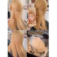 ราคา สีย้อมผม Kota (18319613757)