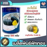 ราคา เมล็ดพันธุ์ฟักทอง ตราเจียไต๋ ขนาด 100 กรัม มีให้เลือก เมล็ดฟักทองบึงกาฬ ศรีเมือง16 ศรีเมืองทองใหญ่ 050 เมล็ดพันธุ์ เมล็ดฟักทองกระป๋อง (17314146111)