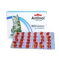 ราคา Antinol บรรจุ 60 เม็ด สำหรับสุนัขและแมว บำรุงข้อ (20569029711)