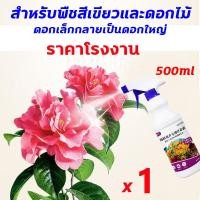 ราคา ส่งในไทย 1 3วันไดัรับของ 3วันฟื้นคืนชีพ ช่วยชีวิตพืช ใบเหลือง แห้ง รากเน่า ใบเหลือง ค้างคาวดี พืชและดอกไม้ เร่งแตกยอด เร่งโตไว เร่งต้นใบราก ปุ๋ยกุหลาบ ปุ๋ยอินทรีย์ ปุ๋ยน้ำทางใบ เร่งดอก (20565746348)