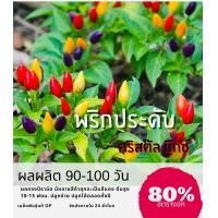 ราคา เมล็ดพันธ์ุ พริกประดับสายรุ้ง พริกประดับคริสตรัล พริกประดับ พริกสายรุ้ง พริกสี 10แถม 1 คละอย่างได้ ปลูกง่าย (12622358895)