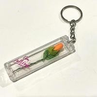 ราคา พวงกุญแจดอกกุหลาบหลอดแก้ว พร้อมส่ง (17795207139)