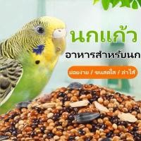 ราคา อาหารนกแก้ว ธัญพืช 13 อย่าง ฟอพัส เลิฟเบิร์ด ค็อกคาเทล นกแก้วพันธุ์เล็ก กลาง แบ่งขาย 400G (20623658747)