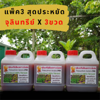 ราคา จุลินทรีย์สังเคราะห์แสง PSB ออร์แกนิกแท้ ขนาด 1 ลิตร แพ็ค 3ขวด (11309269449)