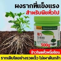 ราคา จัดส่งภายในวันเดียวกัน สารเร่งรากชนิดผง 500g ผงเร่งการแตกราก ผงเร่งราก ผงเร่งรากพืช น้ำยาเร่งราก ยาเร่งราก เร่งราก อุดมไปด้วยธาตุจำนวนมาก ส่งเสริมกา เจริญเติบโตของรากพืช แก้ปัญหาเช่นรากเน่า สารเร่งราก