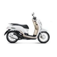 ราคา แท้100 บังโคลน หน้า Scoopy i ปี 2017 เบิกศูนย์ HONDA ชุดสีสกูปปี้ ชุดสีscoopy เฟรมรถ เปลือกรถ บังโคลนหน้า H066 (7555678589)