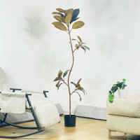 ราคา ต้นยางอินเดียแดง ต้นยางอินเดียดำ มี 2 แบบ พร้อมกระถางดำยกชุด ต้นไม้แต่งบ้านเหมือนจริง ต้นไม้ปลอม ต้นไม้สวยๆ ต้นไม้มินิมอลพร้อมส่ง Plant L YDR (20562802122)