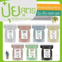 ราคา ปุ๋ยเคมี 150 กรัม สูตร 46 0 0 16 16 16 25 7 7 9 24 24 13 13 21 15 0 0 ปุ๋ยอินทรีย์ (3164784308)
