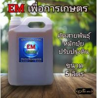 ราคา EM Green จุลินทรีย์คัดสายพันธุ์สำหรับงานเกษตรโดยตรง ประสิทธิภาพสูง ทำปุ๋ยหมัก รดต้นไม้ ปรับปรุงดิน EM อีเอ็ม ปุ๋ยน้ำ น้ำหมัก (17442337404)