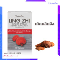ราคา เห็ดหลินจือแดงสกัดแคปซูล กิฟฟารีน Ling zhi Giffarine เห็ดหลินจือแดง เห็ดหลินจือแดงg2 เห็ดหลินจือแดงมิน เห็ดหลินจือแดงotop (8794065402)