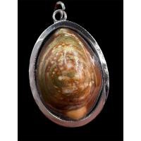 ราคา เบี้ยแก้คุ้มดวง เครื่องรางแห่งความศักดิ์สิทธิ์ที่ได้รับความนิยมมาแต่โบราณ ใช้ป่องกันสิ่งชั่วร้าย ภัยมืดทั้งหลาย สิ่งที่มองไม่เห็น เป็นดั่งแก้วจินดามณีอันวิเศษ (19287683440)