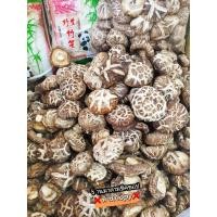 ราคา เห็ดหอมญี่ปุ่น ดอกใหญ่ คัดพิเศษ เห็ดหอมนำเข้า อร่อย หอม สด ใหม่ ตุ๋น ต้ม ทอด ผัด อร่อยเต็มปากเต็มคำ (14426410947)