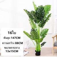 ราคา พร้อมส่ง ต้นไม้ปลอม ต้นมอนสเตอร่า monstera สูง 70 147 CM พร้อมกระถางดำ ต้นมอนสเตอร่าปลอม (18509897503)