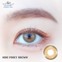ราคา รุ่น Mini Pinky Brown Angelzone Color Contactlens Savika Model (421002079)