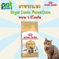 ราคา 2kg อาหารแมว Royal Canin MaineCoon โรยัลคานิน แมนคูน ขนาด 2 กิโลกรัม อาหารแมวแบบแห้ง (20821690520)