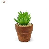 ราคา แคคตัสจิ๋วพร้อมกระถาง กระถางต้นไม้ปลอมจิ๋ว Artificial cactus with pot (4251970866)