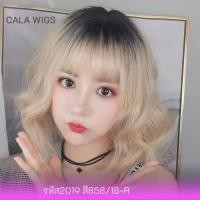 ราคา วิกผมสั้น วิกผมผุ้หญิงวิกผมสั้นม๊าม่าวิกผมพร้อมส่งในไทย วิกผม วิกผมสั้นลอนม๊าม่าหน้าม้ารหัส2019 กับ เสกกลาง 2059 calawigs (15959231325)
