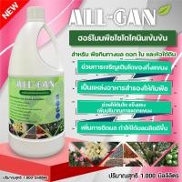 ราคา ปุ๋ยน้ำผล ดอก ใบ และหัวใต้ดิน 1000ML ฮอร์โมนกระตุ้นการแตกตาพืช แตกตาดอก และตาใบ ALL GAN ฮอร์โมนพืชไซโตไคนินเข้มข้น ฟื้นฟูหลังการเก็บเกี่ยว (17958984361)