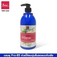 ราคา BSC HAIR CARE BALANCE SHAMPOO CONDITIONER บีเอสซี แฮร์ แคร์ บาลานซ์แชมพู ครีมนวด 740มล (18751411658)