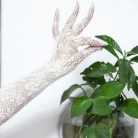 ราคา ถุงมือลูกไม้ ถุงมือเซ็กซี่ ถุงมือชีทรู ถุงมือเจ้าสาว แบบลูกไม้ (19691402173)