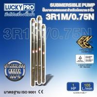 ราคา LUCKY PRO ปั๊มบาดาล รุ่น LP 3R1M 0 75N 1HP (19061451113)