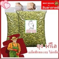 ราคา เมล็ดฟักทอง กะเทาะเปลือก อบ ไม่มีเกลือ ถุง 1KG 500g100g ธัญพืชเพื่อสุขภาพ ROASTED PUMPKIN KERNEL (21226509678)