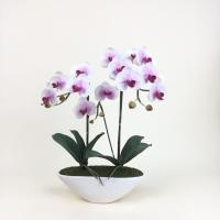 ราคา กระถางดอกไม้ปลอม ดอกไม้ประดิษฐ์ตกแต่งบ้าน กระถางกล้วยไม้ประดิษฐ์ กล้วยไม้จัดพร้อมกระถาง (3911458423)